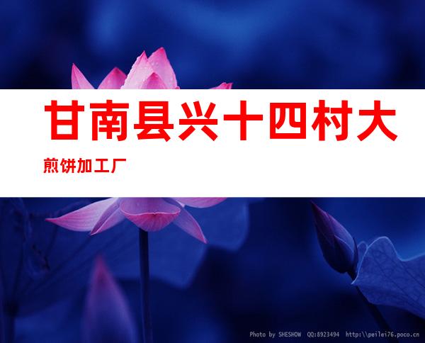 甘南县兴十四村大煎饼加工厂
