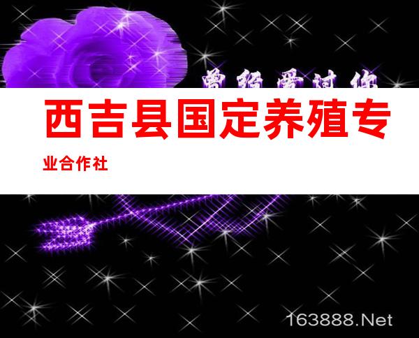 西吉县国定养殖专业合作社